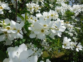 Места лишения природы