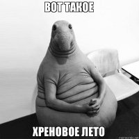 Костомукша - жемчужина Карелии