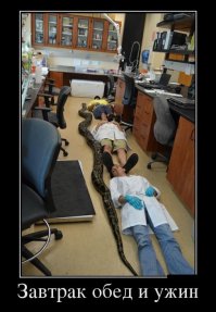 Это про сто еще одна единица измерения Удава...