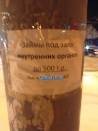 Необычные бизнес-идеи, которые могут сделать из вас мультимиллиардеров