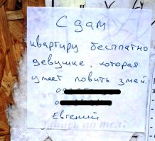 Необычные бизнес-идеи, которые могут сделать из вас мультимиллиардеров