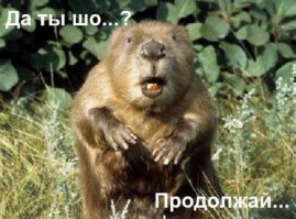 Жительница кургана потребовала от полиции забрать у нее труп бобромена