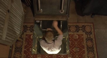 Варвар... как только рука поднялась такой хороший ковёр порезать?!..