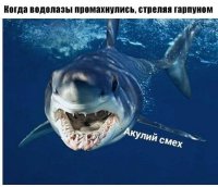 Подводный охотник сам чуть не превратился в добычу 