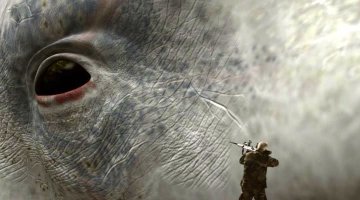 Так близко китов вы еще не видели!