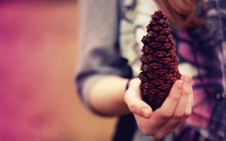 Всем бы таких помощников