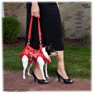 Как жители Нью-Йорка обходят запрет на собак в метро