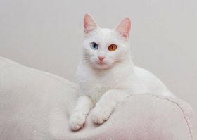 Ну и такой конечно