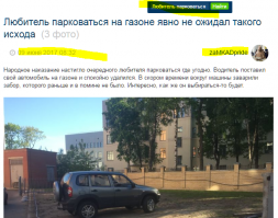 Любитель парковаться на газоне явно не ожидал такого исхода
