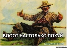 Всем бы таких помощников