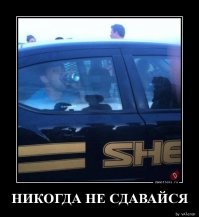 Мы так в 96-м на Арбате в ментовском "бобике" шампанское допивали.