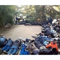 Из жизни фотографов