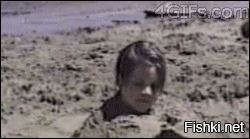 23 смешных доказательств того, что животные ненавидят женщин