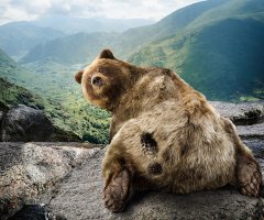 Из жизни фотографов