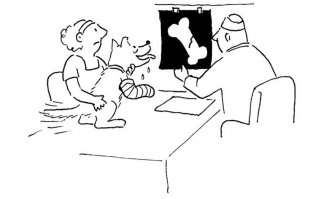 Забавные иллюстрации  