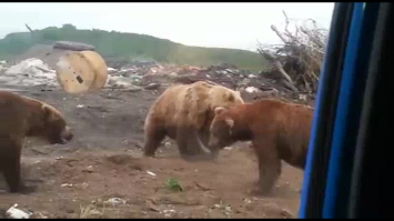 Пока только скриншоты