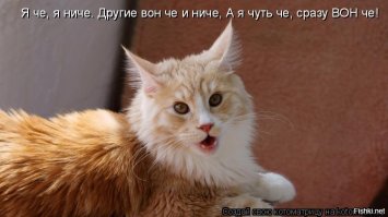 Яркие эмоции наших питомцев. наблюдать за ними — одно удовольствие!