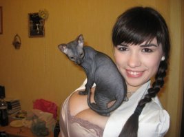 А коты не так просты
