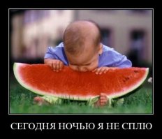 Интересные факты об арбузе