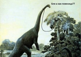 Подборка прикольных картинок из паутины