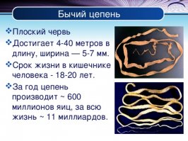 Вкусно конечно.Но ...