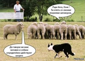 Я не сторонник теорий заговора, но моя шапочка из фольги всегда под рукой