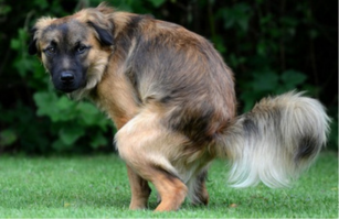 Газон?? Вот что такое газон!
И нехай ставить туда машины! 
Это понятно!!!