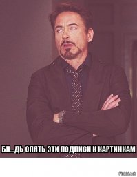 Самые смешные собаки