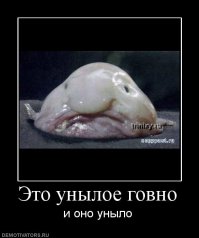 20 интересных фактов о животных,которые вы не слышали