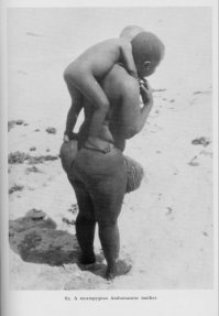 Пост познавательный, (когда-то эта раса составляла большую часть древнего человечества) спасибо, но чего стеатопигию не проиллюстрировал?