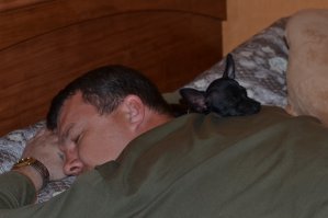 Я тоже не хотел "Эту чертову" собаку!