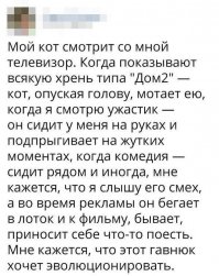 Блин, а с порнухой ?.. С порнухой-то как ?..