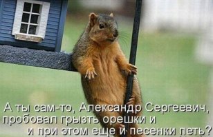 Подборка прикольных картинок из паутины