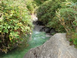 кислотный источник. Серебренная цепка првратилась в черную за пару секунд. на зубаз привкус кислоты