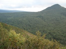 дополню немного своих фото с Итурупа.
Связь с миром только на вершине. Сотовый телефон еле берет. Но с трудом созванивались с "большой" землей и с островом Сахалином