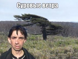 Подборка прикольных картинок из паутины