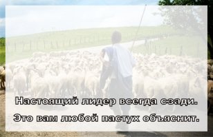 10 иронических открыток, над которыми вы не сможете не усмехнуться!