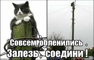 Если бы не кот, хрен бы они так быстро управились!