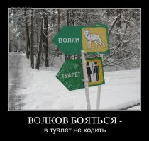 Как делают вяленое мясо билтонг