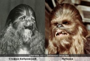 Некоторым счастливчикам можно не заморачиваться)