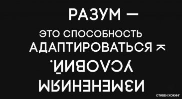10 иронических открыток, над которыми вы не сможете не усмехнуться!