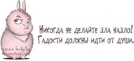Подборка прикольных картинок из паутины