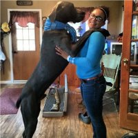 Гусары, молчать!