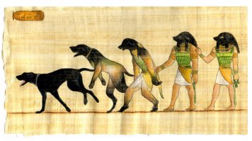 Собаки невероятно огромных размеров