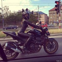 Как в том анекдоте -Одни уши доскакали.