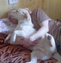 Ну ладно, признаюсь до конца (обшарпанные стены - это на даче у друзей)