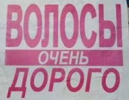 Начинаю догадываться, кто расклеивает все эти объявления
