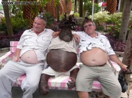 Пальмовые плантации  наступают: орангутанам пришлось искать новый дом