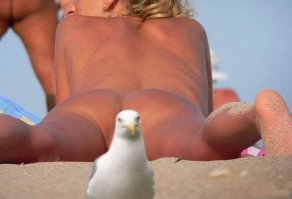 Животные, неожиданно ставшие главными героями снимков