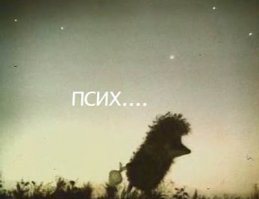 Милые ёжики могут быть очень жестокими